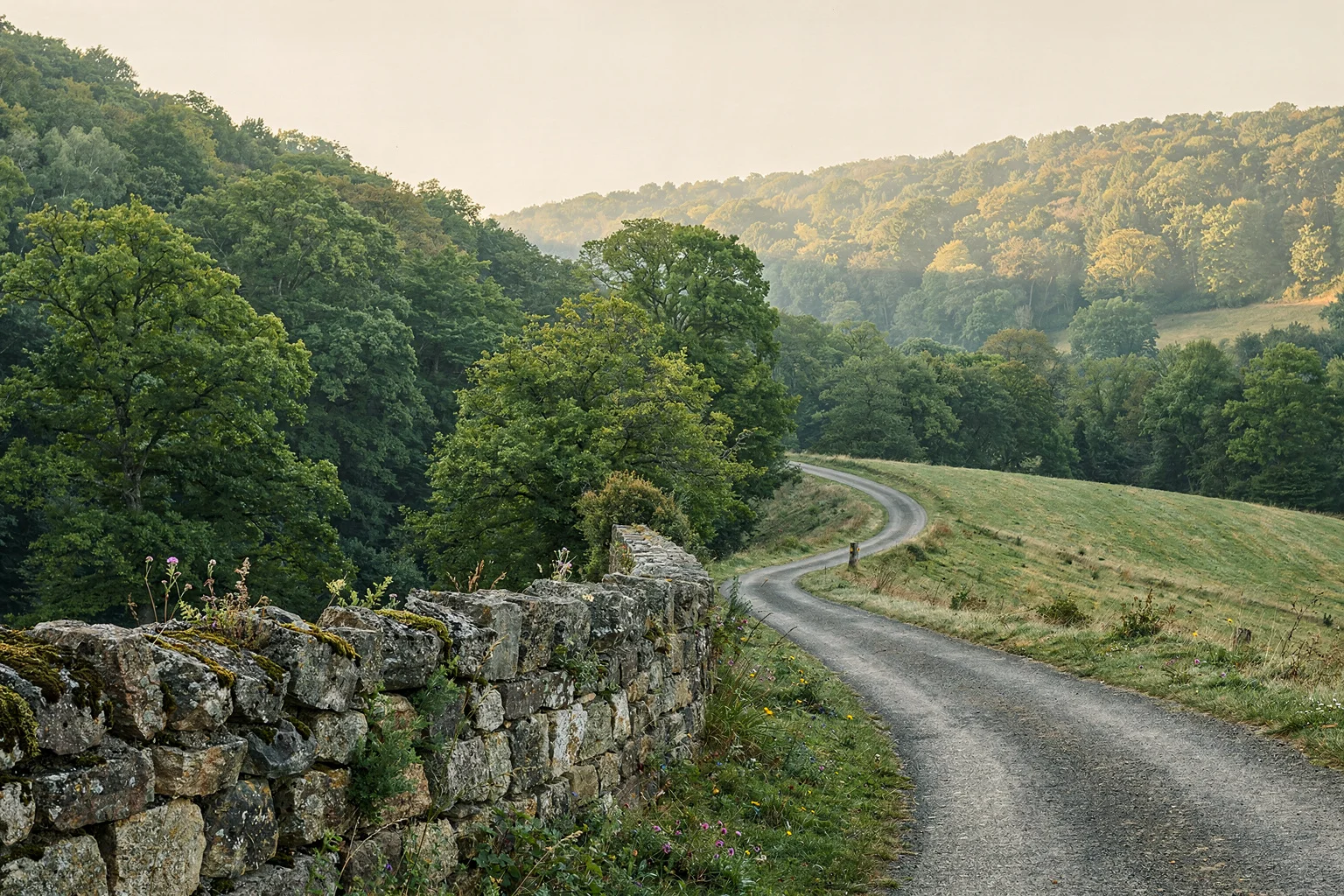 A stone wall and a country lane through a wooded valley